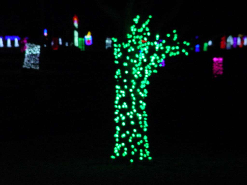 An image of LED Christmas lights.